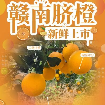 江西正宗赣南脐橙子赣州大果10当季甜橙现摘新鲜赣州脐橙产地直发
