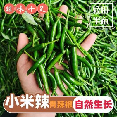 ���ڲ������㶫��������С�׳��콷����ũ����ժָ�콷���ּ⽷�س���1���� 17.8Ԫ