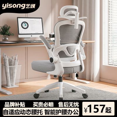 ���� �������幤ѧ�� ������ ���ð칫�羺���� ѧ�������鷿ѧϰ���� 140.99Ԫ