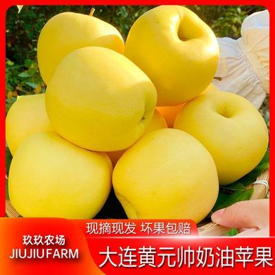 ���ڲ�����������ũ�������ڴ�����Ԫ˧ƻ������ˮ����ժ�߷���ƽ�ƻ��5�� 21.9Ԫ