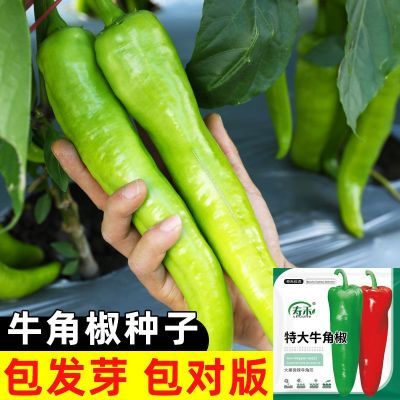 ���ڲ�����ţ�ǽ����Ӹ߲�����������ǽ��ļ��߲����Ӵ�ȫ�ʺ϶����ֵĲ� 3.81Ԫ