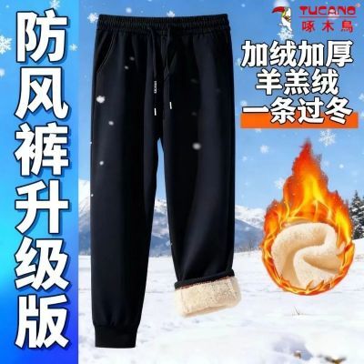 啄木鸟羊羔绒男女棉裤冬季加绒加厚直筒束脚裤防水抗寒保暖裤户外
