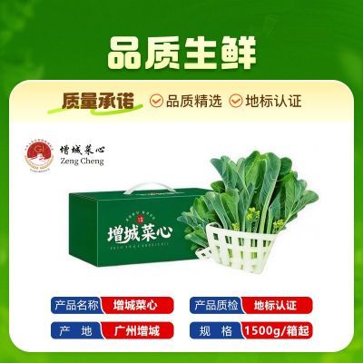 ���ڲ��������ǲ������������߲���ժ3����ٲ��ĸ߽Ų���˳����� 22Ԫ