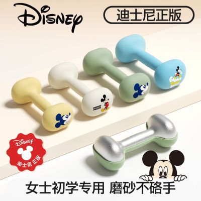 迪士尼小哑铃女士健身家用器材2kg一对3kg一对1kg实心铸铁铃壶新
