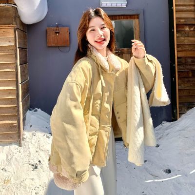 ���ڲ�����One More���ƴ��������Ƹ�2025���������¿�С���Ӷ̿����޷� 731Ԫ