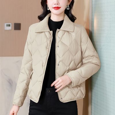 ���ڲ�����С��������ʱ�����̿���������2026�����¿��ᱡʱ�����Ÿ߼��� 179Ԫ