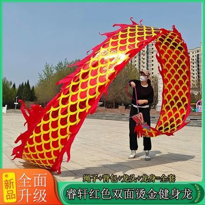 烫金健身龙广场舞龙中老年双面烫金钢架龙头耍龙彩带舞龙全套甩龙优惠商品图片