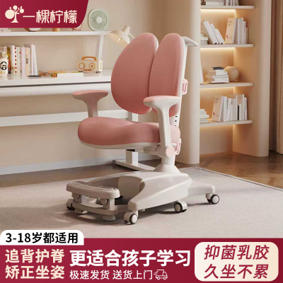 ���ڲ�������ͯѧϰ�ο����������ν�����������Сѧ��������������д������ 317Ԫ