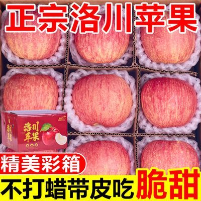 【彩箱装】正宗洛川苹果脆甜陕西富士当季新鲜苹果水果一整箱批发
