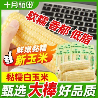 ���ڲ�����[8��]ʮ�µ����Ŵ����220g���ʴ���������ʵ�֬����������ճŴ 10.5Ԫ