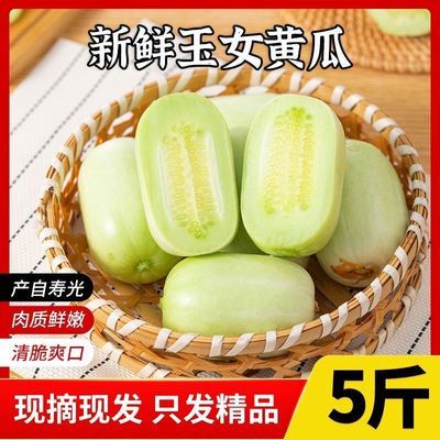 ���ڲ�����ɽ����ŮС�ƹ�3��5�� Ĵָ���ʲ�ժ���Դ��۽�ͯ��Ů�ƹ����� 19.5Ԫ