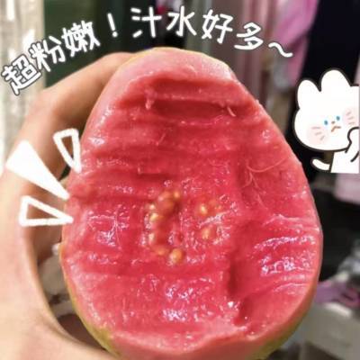 【软糯香甜】正宗红心奶油番石榴新鲜水果香软芭乐软糯鸡屎减脂果