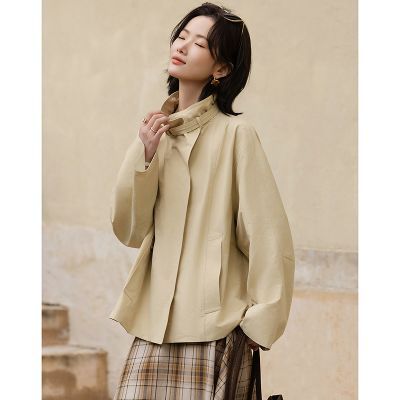 ���ڲ����������ɳ������д����޻������һ���������ɶ�С����Ů�������� 389Ԫ