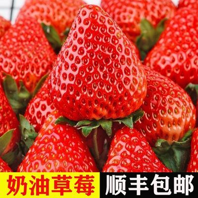 ���ڲ������Ĵ�����ɽ��ݮ����¶���ݮ����3�ﵥ��15g�𡾲��䷢������7���ڷ����� 36.9Ԫ