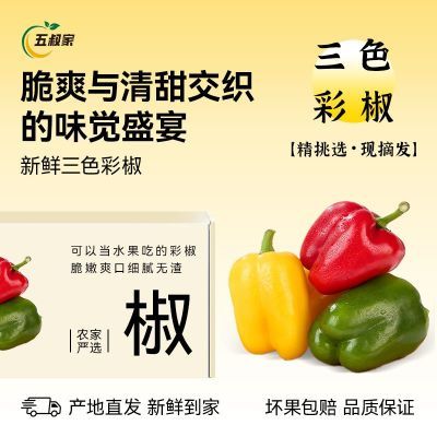 ���ڲ����������䡿ɽ����ɫ�ʽ�3/5�� �����Բ���Բ��̫�ս���ƽ����� 16.9Ԫ