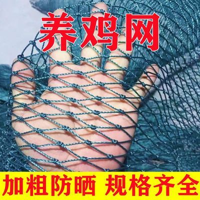 养鸡网养殖围网鸡网拦鸡网尼龙网家禽隔离户外菜园围栏防护网加粗