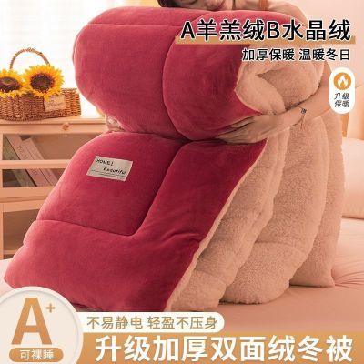 加厚羊羔绒冬被双面绒被子秋冬季棉被宿舍加厚保暖雪花绒加绒被芯