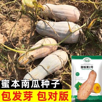 ���ڲ���������� �۱��Ϲ����Ӵ�ȫ�����߲������Ϸ��������ָ߲���Ŵ���� 4.49Ԫ