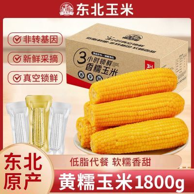 刘老杆东北新鲜黄糯玉米小棒苞米软糯香甜粗粮代餐真空包装箱装