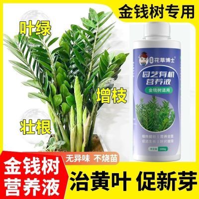 ���ڲ�������Ǯ��ר��Ӫ��Һ��ѿ�������ƻ�Ҷ��Ҷ�ø�ר�ü���Ũ��Ӫ��Һ 12.1Ԫ