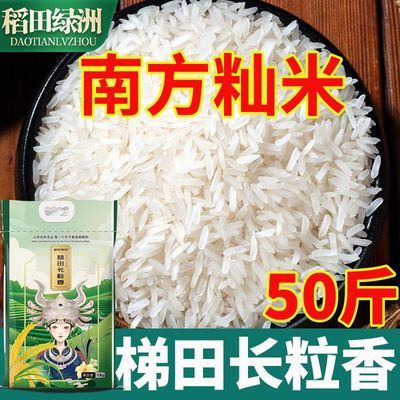 ���ڲ�������������50�����ﳤ������˿�������з�������è���������������� 98.9Ԫ