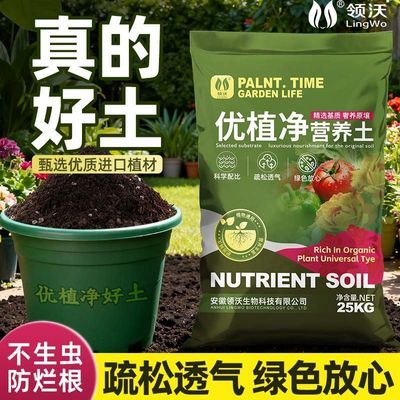 ���ڲ�����ͨ����Ӫ�����ֲ�����ר����������ֲ�л������϶��⻨����ֲ���� 10.9Ԫ