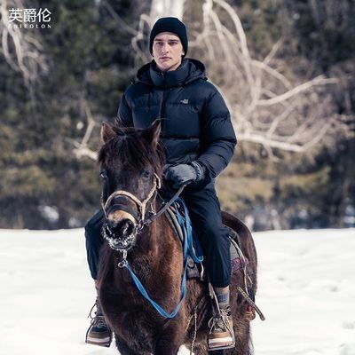 ���ڲ�����Ӣ���׼����߳��޿���ж��ñ���޷��ж������������Ѽ��ƴ������ 336Ԫ