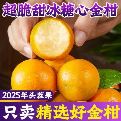 广西融安滑皮金桔】正宗第三代融安脆蜜金桔鲜果应季水果爆甜整箱