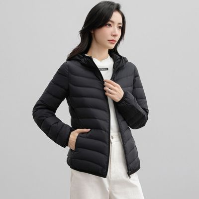 ���ڲ�����YPUTŮװ�ﶬ�¿��ᱡ��ñ����̿��������޷�YHG411197G-YS 98Ԫ