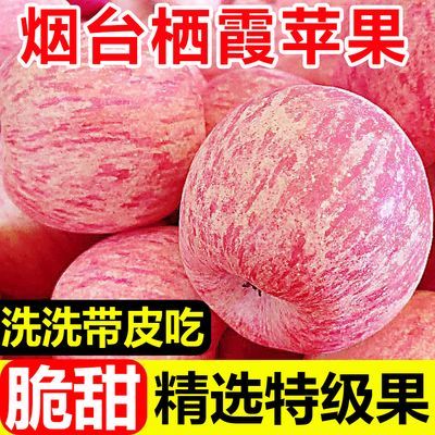 【正宗烟台苹果】山东栖霞富士苹果冰糖心新鲜苹果水果批发一整箱