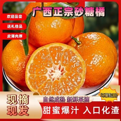 【产地直发】正宗砂糖橘广西当季薄皮橘子桔子新鲜水果非皇帝柑