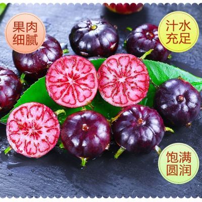 【鲜果尝鲜】正宗云南红果参新鲜大果125克4盒一整箱罕见水果蜘蛛