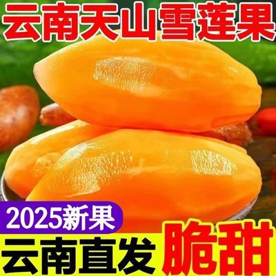 正宗云南天山雪莲果黄心红特级当季新鲜时令水果雪连圆果长果整箱