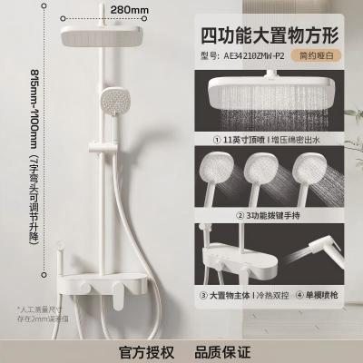 ���ڲ�����������ԡ������װ������ť��Բ������̨��ѹ����AE34210ZCP-P2 799Ԫ