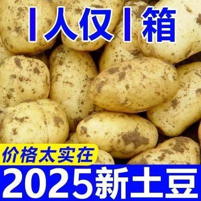 正宗黄皮黄心土豆高山黄皮新鲜批发洋芋马铃薯农家蔬菜精选土豆发