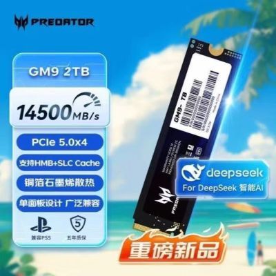 ���ڲ������곞�Ӷ��� GM9 2T̨ʽ��SSD��̬Ӳ�� M.2 NVMe PCIe 5.0 1269Ԫ
