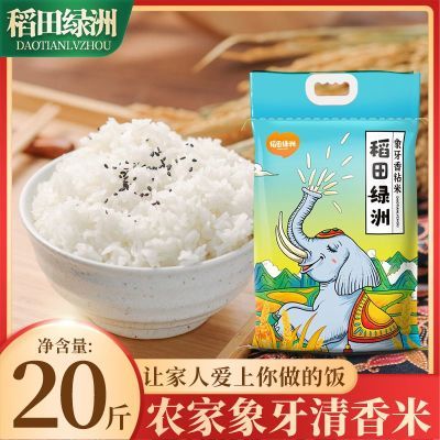 ���ڲ�������������20��������������10��������˿�糤���������״�è������ 40.9Ԫ