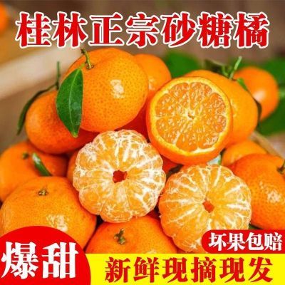 整箱5斤【正宗砂糖橘】正宗广西沙糖桔新鲜砂糖橘薄皮应季小橘子