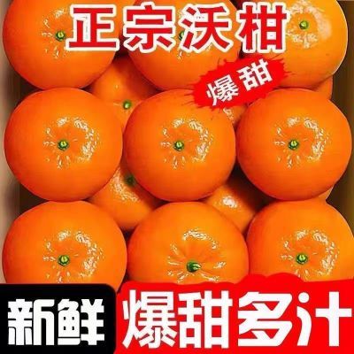 彩箱5斤广西沃柑武鸣应季柑橘贵妃新鲜批发水果橘子当季桔子薄皮