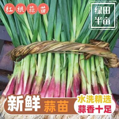 ���ڲ�������ˮϴ��ѡ���硿ɽ��ũ�������Ϻ�Ƥ�������߲���������3���� 23.99Ԫ