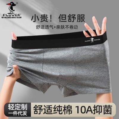PLOVER正品纯棉男士内裤纯棉纯色短裤抗菌平角裤透气男士大码裤头