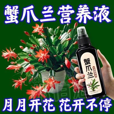 蟹爪兰专用营养液专用肥植物液体肥花肥增绿促开花肥料通用土壤