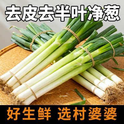 ���ڲ�����������9.5��ɽ�������������ȥƤȥ��Ҷ����պ����ʳ���4.5�� 12.9Ԫ