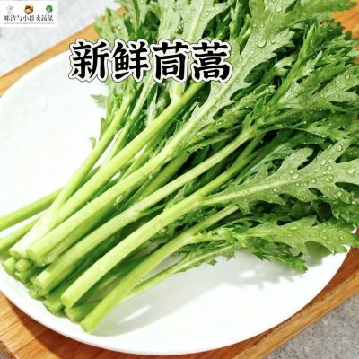 [产地直发]茼蒿菜新鲜现摘农家发自种时令蔬菜食材炒菜火锅批发