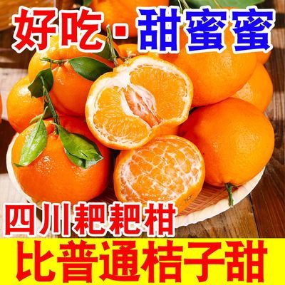 彩箱】四川丑橘耙耙柑正宗春见粑粑柑橘子新鲜应季水果丑八怪桔子