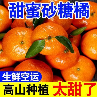 正宗砂糖橘广西橘子新鲜橘当季水果桔子沙糖桔蜜桔薄皮蜜橘整箱