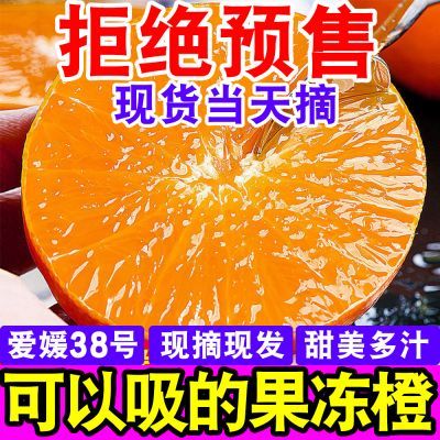 现货当天摘】正宗四川爱媛38号果冻橙子皮薄当季新鲜水果整箱10斤