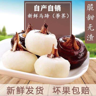 安徽新鲜马蹄荸荠脆甜水果蔬菜地栗多汁地梨带泥发货包邮3/5斤