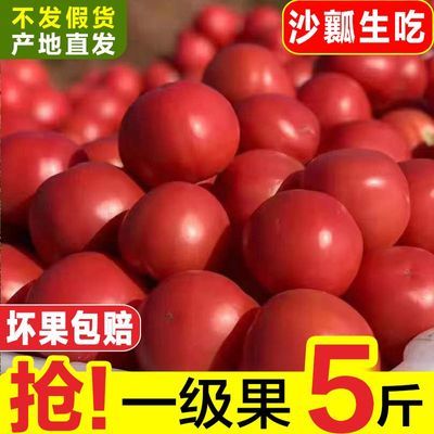 云南露天西红柿沙瓤生吃番茄普罗旺斯西红柿时令新鲜水果蔬菜整箱
