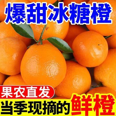 【超甜】湖南麻阳品种冰糖橙当季新鲜水果超甜橙子应季甜脐橙批发